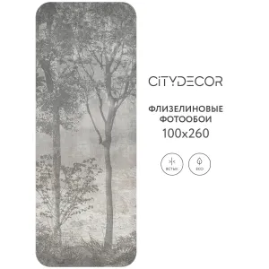 Дизайнерские фотообои рулонные Citydecor Dark Side 34 на флизелиновой основе 100x260 см
