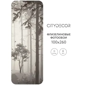 Дизайнерские фотообои рулонные Citydecor Dark Side 35 на флизелиновой основе 100x260 см