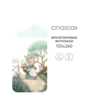 Фотообои рулонные Citydecor Детская 375 на флизелиновой основе 100x260 см