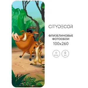 Фотообои рулонные Citydecor Детская 376 на флизелиновой основе 100x260 см