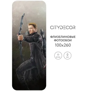 Фотообои рулонные Citydecor Детская 378 на флизелиновой основе 100x260 см