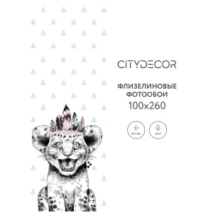 Фотообои рулонные Citydecor Fun 1 на флизелиновой основе 100x260 см