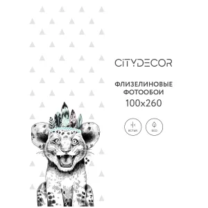 Фотообои рулонные Citydecor Fun 2 на флизелиновой основе 100x260 см