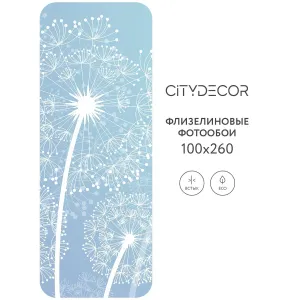 Фотообои рулонные Citydecor Невесомость 2 на флизелиновой основе 100x260 см
