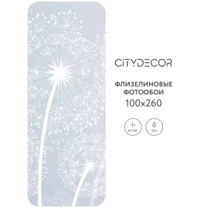 Фотообои рулонные Citydecor Невесомость 3 на флизелиновой основе 100x260 см