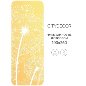 Фотообои рулонные Citydecor Невесомость 4 на флизелиновой основе 100x260 см