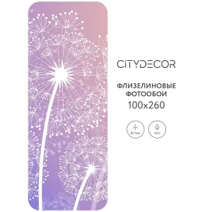 Фотообои рулонные Citydecor Невесомость 5 на флизелиновой основе 100x260 см
