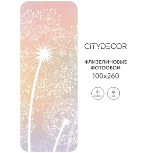 Фотообои рулонные Citydecor Невесомость 9 на флизелиновой основе 100x260 см