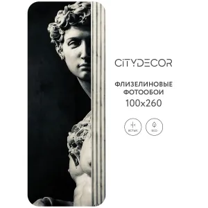 Фотообои рулонные Citydecor Люди и Знаменитости 18 на флизелиновой основе 100x260 см