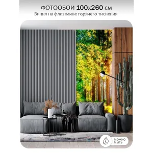 Фотообои рулонные Citydecor Природа 149 на флизелиновой основе 100x260 см