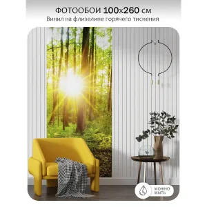 Фотообои рулонные Citydecor Природа 37 на флизелиновой основе 100x260 см