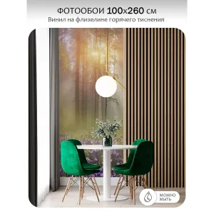 Фотообои рулонные Citydecor Природа 39 на флизелиновой основе 100x260 см