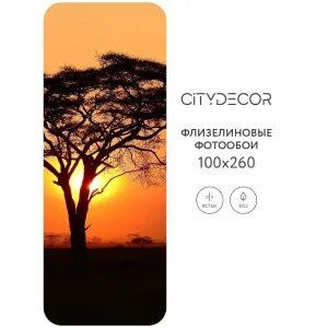Фотообои рулонные Citydecor Природа 94 на флизелиновой основе 100x260 см
