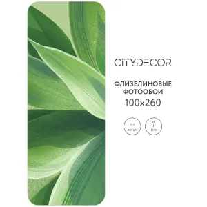 Дизайнерские фотообои рулонные Citydecor Sunset 39 на флизелиновой основе 100x260 см