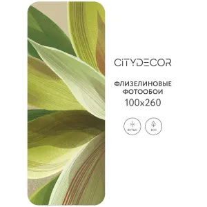 Дизайнерские фотообои рулонные Citydecor Sunset 42 на флизелиновой основе 100x260 см