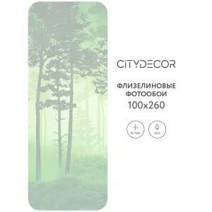 Дизайнерские фотообои рулонные Citydecor Таинственный лес 12 на флизелиновой основе 100x260 см