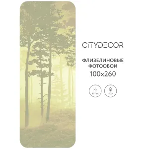 Дизайнерские фотообои рулонные Citydecor Таинственный лес 7 на флизелиновой основе 100x260 см