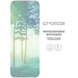 Дизайнерские фотообои рулонные Citydecor Таинственный лес 8 на флизелиновой основе 100x260 см