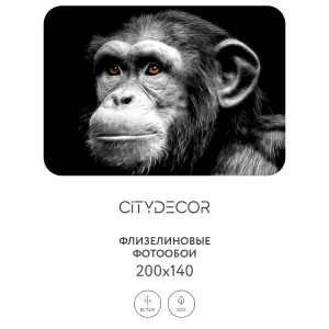 Фотообои рулонные Citydecor Животные и Птицы 5 на флизелиновой основе 200x140 см Фотообои рулонные Citydecor Животные и Птицы 5 на флизелиновой основе 200x140 см