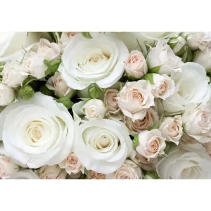 Фотообои рулонные Citydecor Букет роз на флизелиновой основе 200x140 см