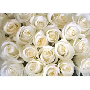 Фотообои рулонные Citydecor Бутоны роз на флизелиновой основе 200x140 см