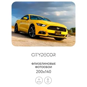 Фотообои рулонные Citydecor Транспорт 24 на флизелиновой основе 200x140 см