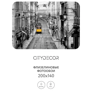 Фотообои рулонные Citydecor Города и Архитектура 51 на флизелиновой основе 200x140 см