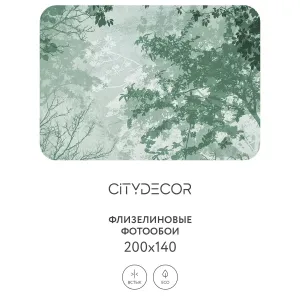 Дизайнерские фотообои рулонные Citydecor Dark Side 33 на флизелиновой основе 200x140 см