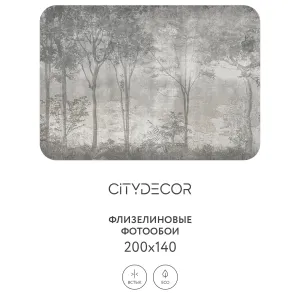 Дизайнерские фотообои рулонные Citydecor Dark Side 34 на флизелиновой основе 200x140 см