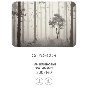 Дизайнерские фотообои рулонные Citydecor Dark Side 35 на флизелиновой основе 200x140 см