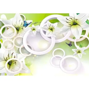 Фотообои рулонные Citydecor Круги 3D на флизелиновой основе 200x140 см