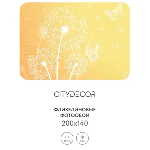Фотообои рулонные Citydecor Невесомость 4 на флизелиновой основе 200x140 см