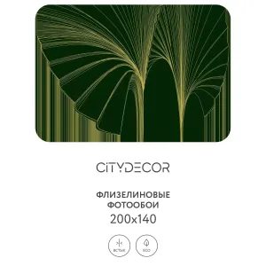 Фотообои рулонные Citydecor Perfect Lines 24 на флизелиновой основе 200x140 см