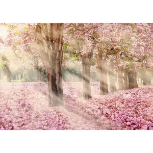 Фотообои рулонные Citydecor Сказочная природа 5 на флизелиновой основе 200x140 см