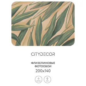 Дизайнерские фотообои рулонные Citydecor Sunset 22 на флизелиновой основе 200x140 см