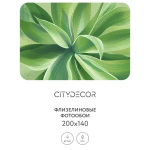 Дизайнерские фотообои рулонные Citydecor Sunset 39 на флизелиновой основе 200x140 см