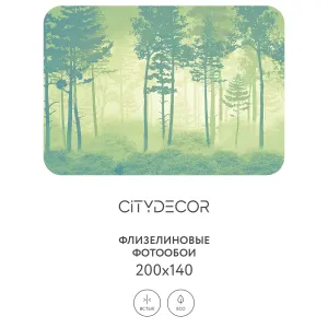 Дизайнерские фотообои рулонные Citydecor Таинственный лес 11 на флизелиновой основе 200x140 см