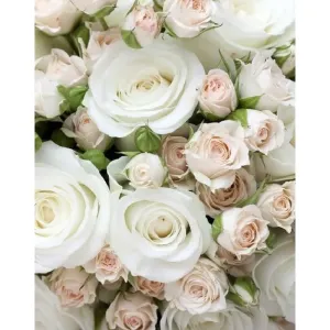 Фотообои рулонные Citydecor Букет роз на флизелиновой основе 200x254 см