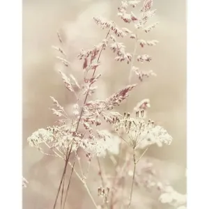 Фотообои рулонные Citydecor Цветущий луг на флизелиновой основе 200x254 см