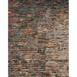 Фотообои рулонные Citydecor Кирпичи 3D на флизелиновой основе 200x254 см