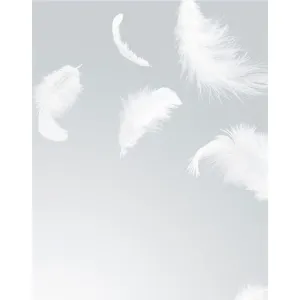 Фотообои рулонные Citydecor Перышки на флизелиновой основе 200x254 см Фотообои рулонные Citydecor Перышки на флизелиновой основе 200x254 см