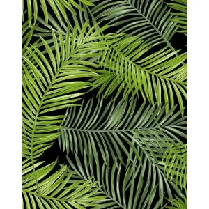 Фотообои рулонные Citydecor Тропические листья на флизелиновой основе 200x254 см