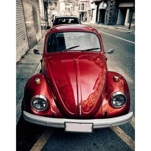 Фотообои рулонные Citydecor Жук на флизелиновой основе 200x254 см