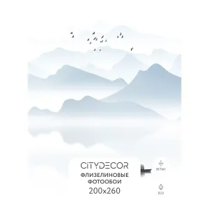 Фотообои рулонные Citydecor Абстракция 110 на флизелиновой основе 200x260 см