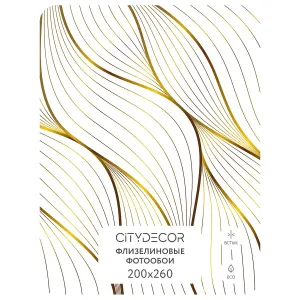 Фотообои рулонные Citydecor Абстракция 383 на флизелиновой основе 200x260 см