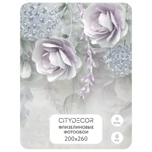 Фотообои рулонные Citydecor Абстракция 66 на флизелиновой основе 200x260 см