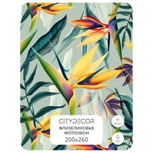 Фотообои рулонные Citydecor Абстракция 67 на флизелиновой основе 200x260 см