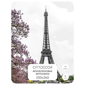 Фотообои рулонные Citydecor Города и Архитектура 43 на флизелиновой основе 200x260 см