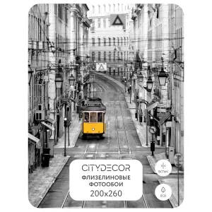 Фотообои рулонные Citydecor Города и Архитектура 51 на флизелиновой основе 200x260 см