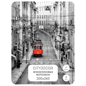 Фотообои рулонные Citydecor Города и Архитектура 53 на флизелиновой основе 200x260 см